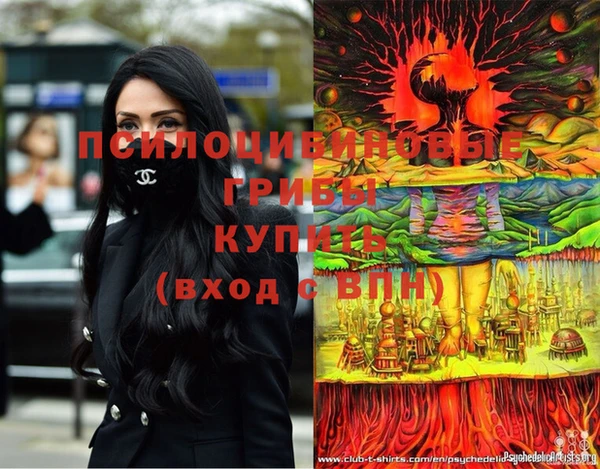 метадон Арсеньев
