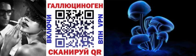 darknet телеграм  Новосокольники  Псилоцибиновые грибы Cubensis 